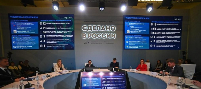Затраты на поддержку российского экспорта по итогам санкционного года увеличены вдвое