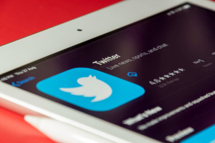 ilon-mask-zapretil-fejkovye-akkaunty-v-twitter-ih-budut-blokirovat-bez-preduprezhdenija-67b6771
