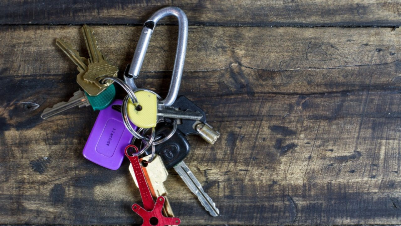 Какие налоги необходимо оплатить россиянам до 1 декабря 2022 года