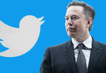Маск предложил Стивену Кингу скидку на верификацию в Twitter