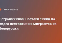 Пограничники Польши сняли на видео нелегальных мигрантов из Белоруссии