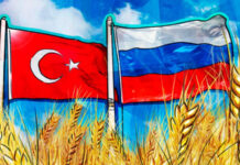 Турция считает необходимым продлить действие зерновой сделки на год