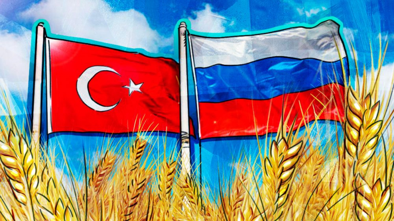 Турция считает необходимым продлить действие зерновой сделки на год