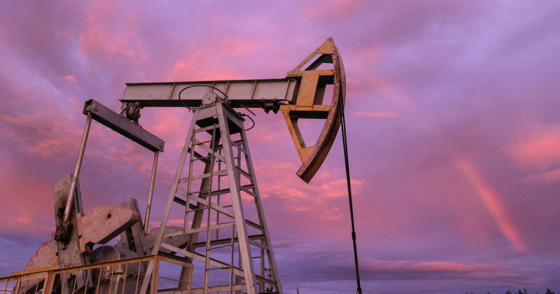 В Омане считают неэффективным ограничить цены на российскую нефть