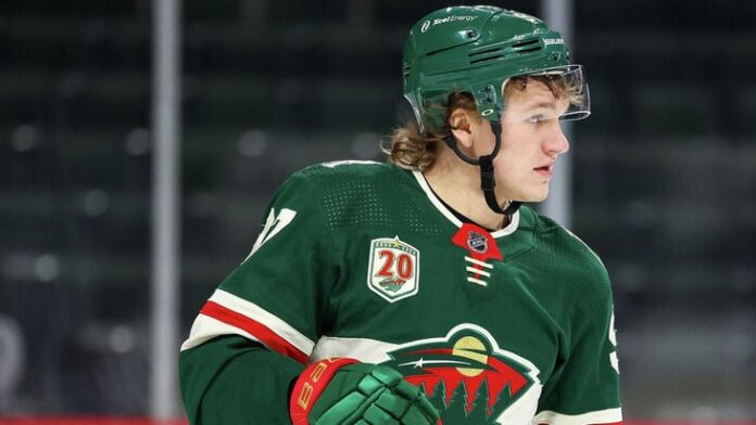 nhl-minnesota-pobedila-detrojt-kalgari-proigral-vankuveru-730b9ff