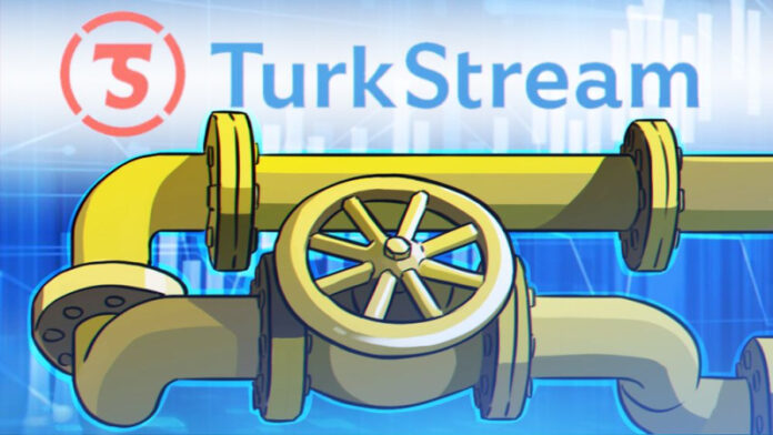 tjurkolog-obrazcov-interesy-rossii-i-turcii-po-gazu-sovpali-8e7e631
