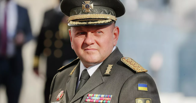 Главком ВСУ Залужный стал долларовым миллионером