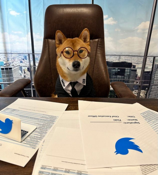 Илон Маск пообещал найти нового директора Twitter до конца года, а пока в его кресле сидит пёс