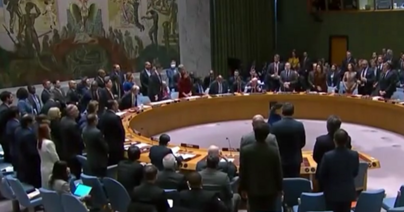 Театр абсурда: Украина вновь устроила спектакль на трибуне ООН