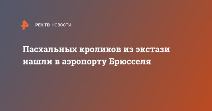 pashalnyh-krolikov-iz-ekstazi-nashli-v-aeroportu-brjusselja-cc2cd38