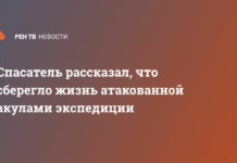 Спасатель рассказал, что сберегло жизнь атакованной акулами экспедиции
