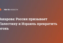 Захарова: Россия призывает Палестину и Израиль прекратить огонь