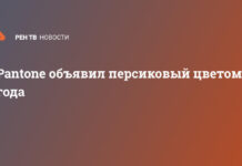 Pantone объявил персиковый цветом 2024 года