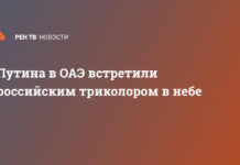 Путина в ОАЭ встретили российским триколором в небе