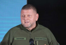 Залужный признал потерю Марьинки украинскими военными