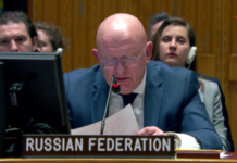 Небензя заявил, что затопление тоннелей в Газе будет геноцидом