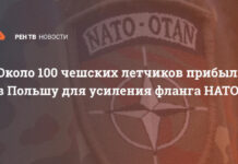Около 100 чешских летчиков прибыли в Польшу для усиления фланга НАТО