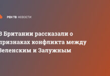 В Британии рассказали о признаках конфликта между Зеленским и Залужным