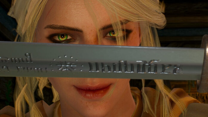 mechty-sbyvajutsja-no-za-dengi-cd-projekt-red-dopustit-fanata-k-razrabotke-the-witcher-4-za-680-tysjach-rublej-04b51a0