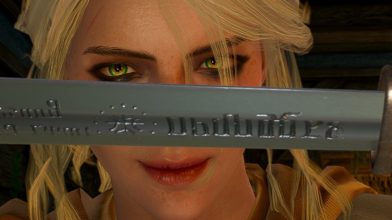 Мечты сбываются, но за деньги: CD Projekt RED допустит фаната к разработке The Witcher 4 за 680 тысяч рублей