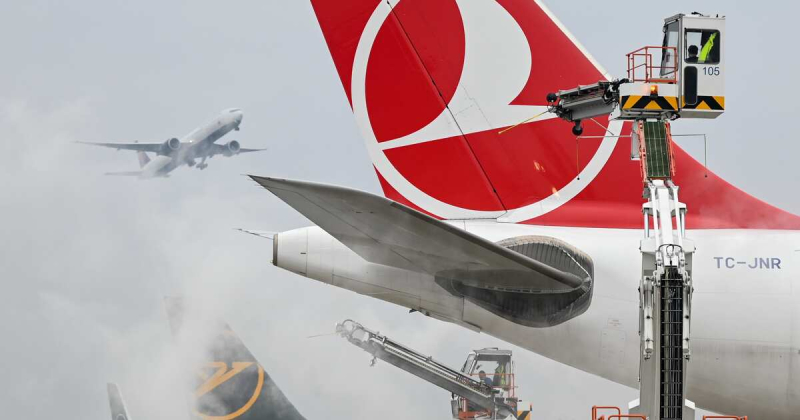 Посольство РФ назвало причины снятия россиян с рейсов Turkish Airlines
