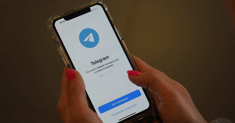 В ГУР Украины пожаловались на блокировку в Telegram "главного бота разведки"