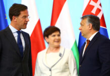 FT: Рютте пошел на уступки Орбану по Украине ради поста генсека НАТО