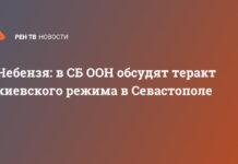 Небензя: в СБ ООН обсудят теракт киевского режима в Севастополе