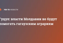 Гуцул: власти Молдавии не будут помогать гагаузским аграриям