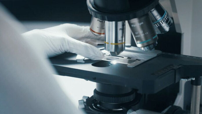 samsung-usomnilas-v-nuzhnosti-litograficheskih-mashin-asml-klassa-high-na-euv-e136cb4.jpg
