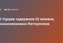 В Турции задержали 25 человек, разыскиваемых Интерполом