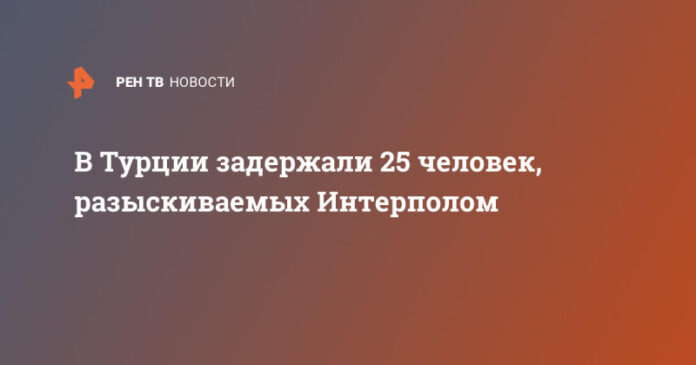 v-turcii-zaderzhali-25-chelovek-razyskivaemyh-interpolom-ee99aa4.jpg