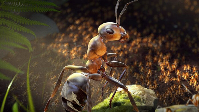eta-igra-chistoe-vesele-bloger-opublikoval-chas-gejmpleja-fotorealistichnoj-strategii-empire-of-the-ants-fb896d1.jpg