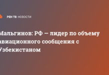 Мальгинов: Россия – лидер по объему авиационного сообщения с Узбекистаном