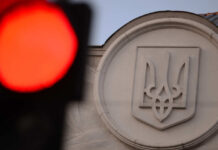 Дочь Залужного сравнила Украину с пациентом, у которого отказали почки