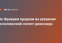 Во Франции продали на аукционе исполинский скелет динозавра