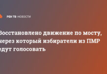 Восстановлено движение по мосту, через который избиратели из ПМР едут голосовать