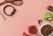 Частые ошибки при выборе товаров для животных